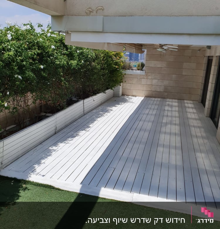 דק עץ לבן לצד גדר צמחים ירוקה